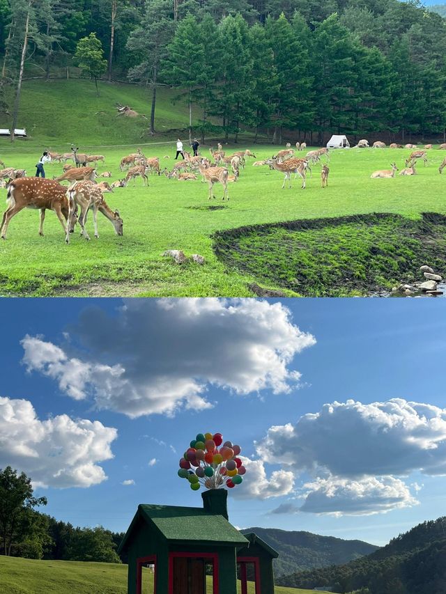 實話難聽，但這就是伊春旅遊真實現狀