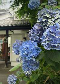 長野善光寺 仲見世通主打一個吃吃喝喝