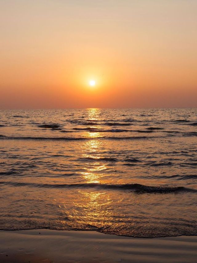 🌴🏖️ Goa's Green Door Villa: Your Beachside Haven! 🌅🍹