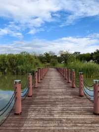 開遠鳳凰濕地公園
