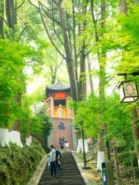 比起青城山，我更愛成都這個小眾徒步地