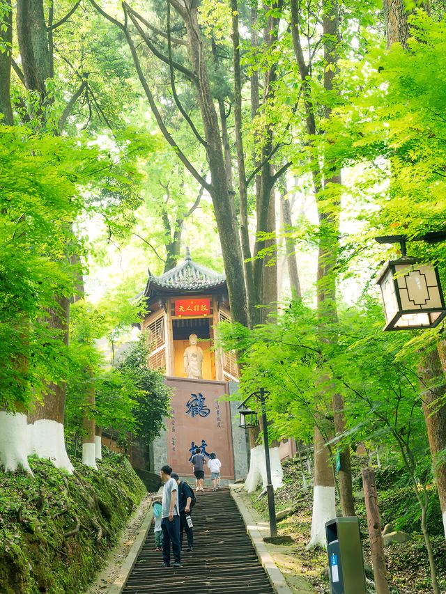 比起青城山，我更愛成都這個小眾徒步地