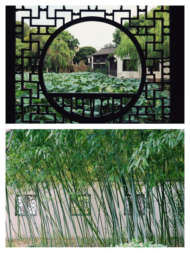 上海週末去哪兒｜二刷常熟，2天1晚慢慢逛