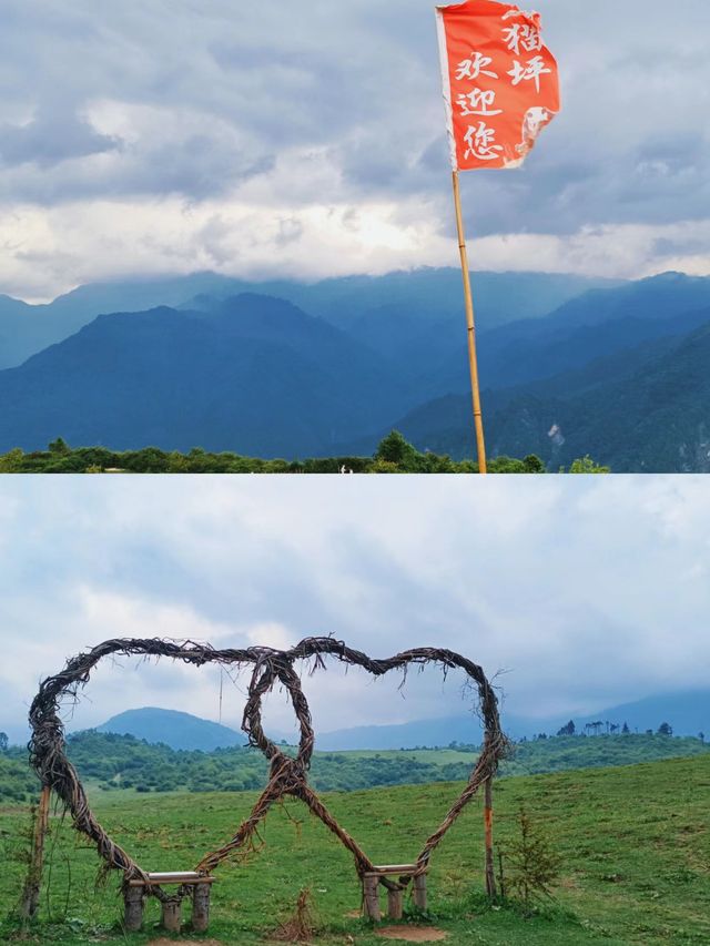 熊貓坪重現啦!四川版阿勒泰太美了!