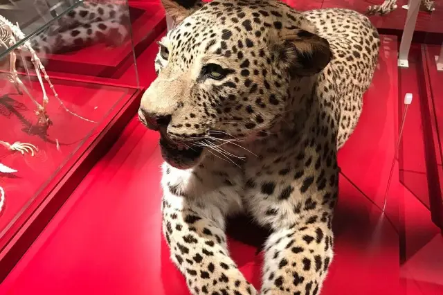 텔아비브, 색채와 활력이 어우러진 도시 풍경입니다. 