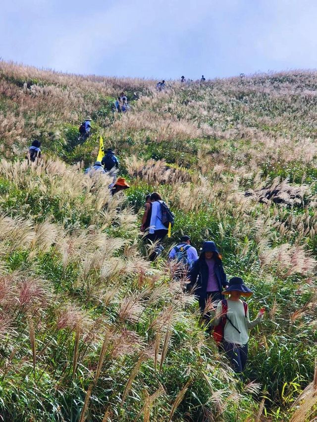 惠州大南山 惠州大南山