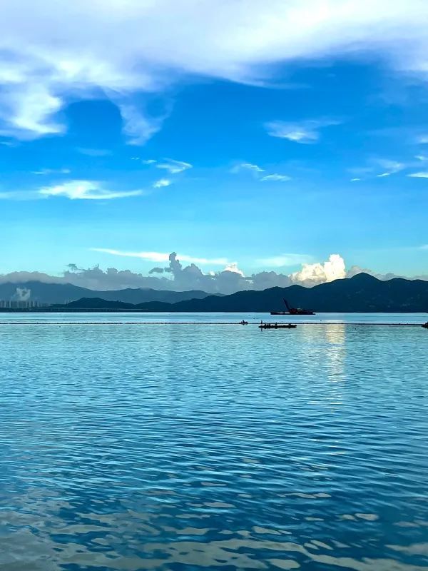 蛇口City walk｜山海之間🏄‍♂️度過慵懶週末