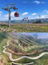 翠雲山森林公園嘅秋天，真係太靚啦！