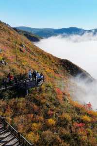 2024阿爾山之秋•9月22日同心天池秋色初起漸入佳境。