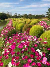 不是共青，另一個「莫奈花園」來襲！。
