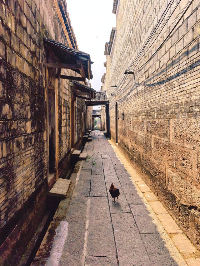 厚板塘古村。