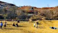 紅葉染盡「坡峰嶺」。