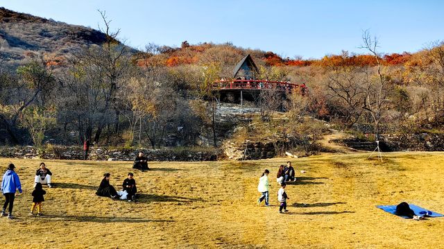 紅葉染盡「坡峰嶺」。