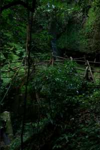 青城山天師洞遊玩全攻略｜交通、門票、景點、美食一網打盡！。