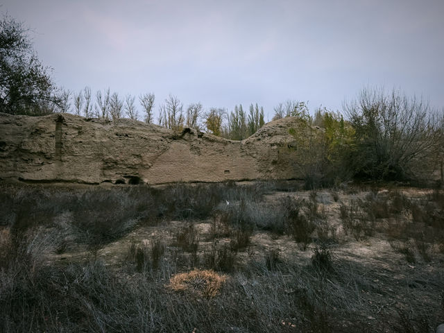 北庭西大寺遺址｜北庭高昌回鶻佛寺遺址。