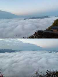 商洛鎮安海棠山。
