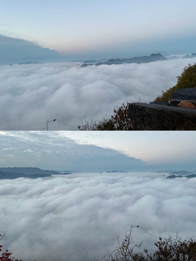 商洛鎮安海棠山。