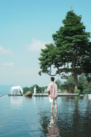 西雙版納·這一次真的住進雨林雲海。
