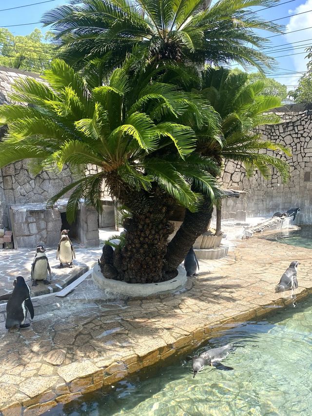 日本°東京ㅣ親子免費近郊好去處ㅣ江戶川區自然動物園。