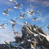 冷酷仙境,極地孤行