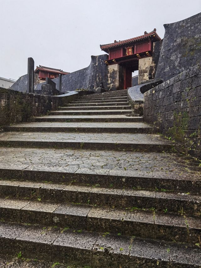 秋遊日本太絕了後悔沒早點去。