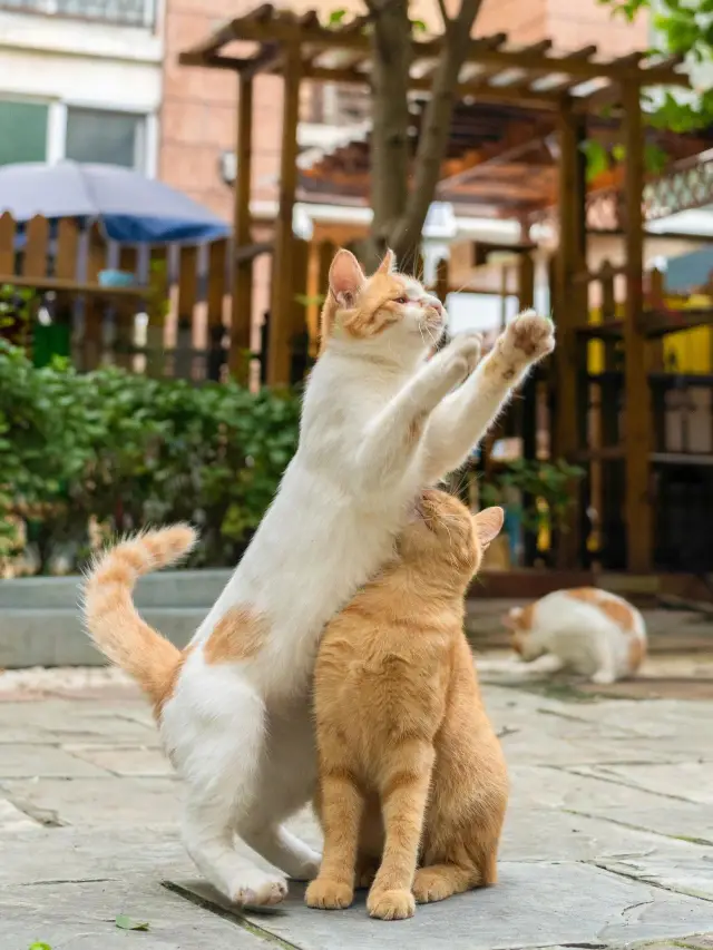 12-Day South Africa Winter Travel Guide