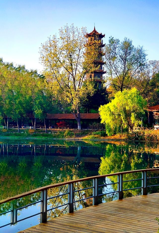 深秋的武漢解放公園——紅得發紫