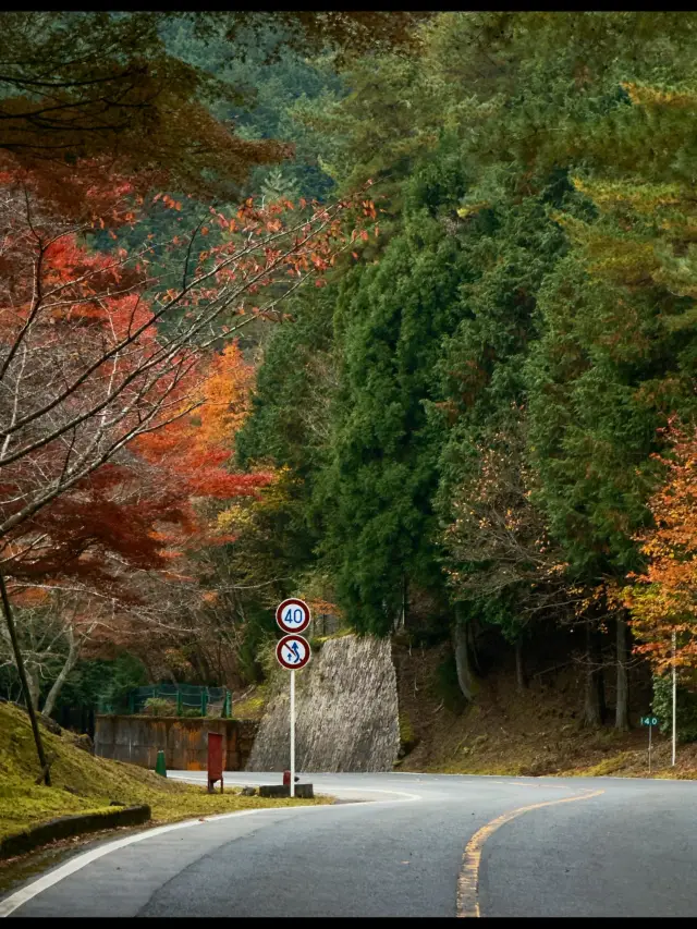 4-Day Japan Trip for Only 3k Per Person