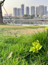 東莞萬江新晉免費兒童遊樂場 | 星光樂園：親子遊樂新天地