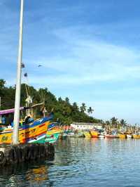 Magical Experience of Whale Watching in Mirissa
