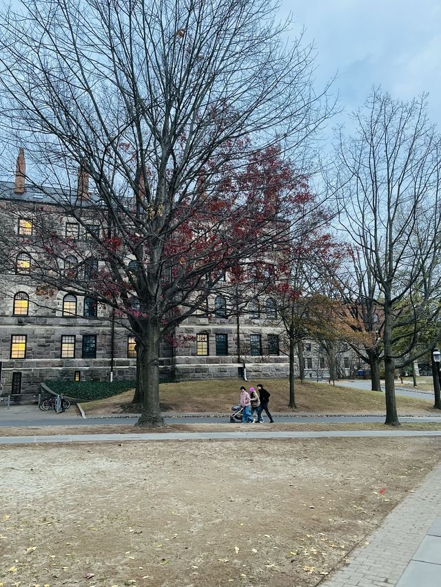 遊覽普林斯頓大學