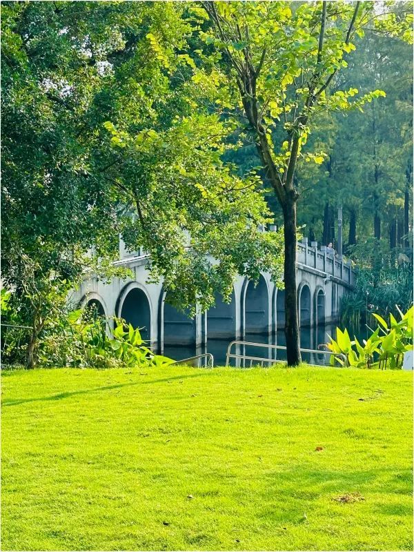 被這個公園治癒…周末遛娃 散步必逛四海公園