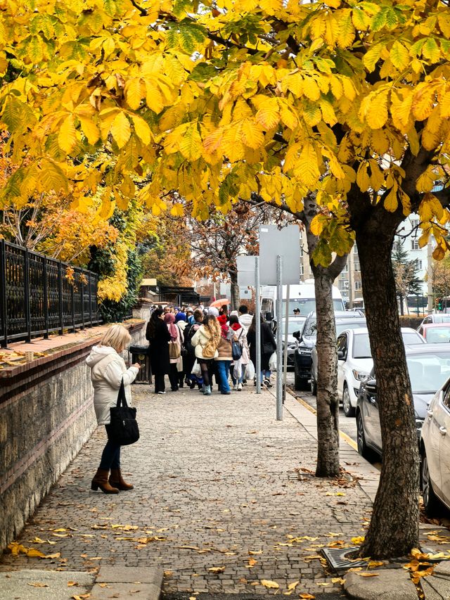 土耳其第六十三站，埃斯基謝希爾Eskişehir