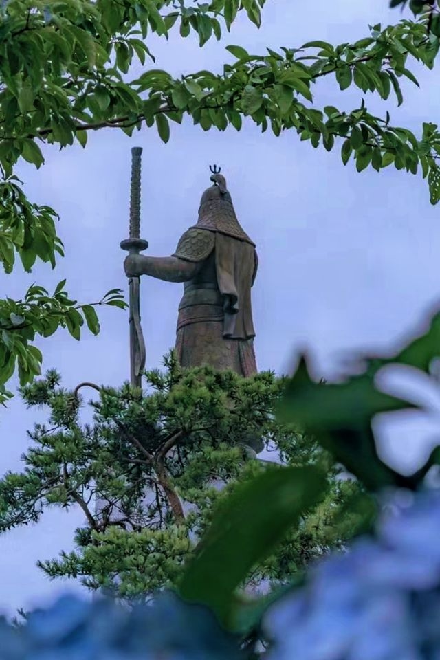 在潭陽郡看到最美的竹林和水杉