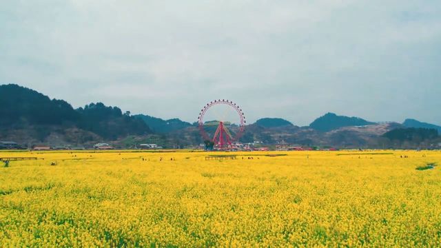 金海雪山｜貴陽周邊最美春天｜免費