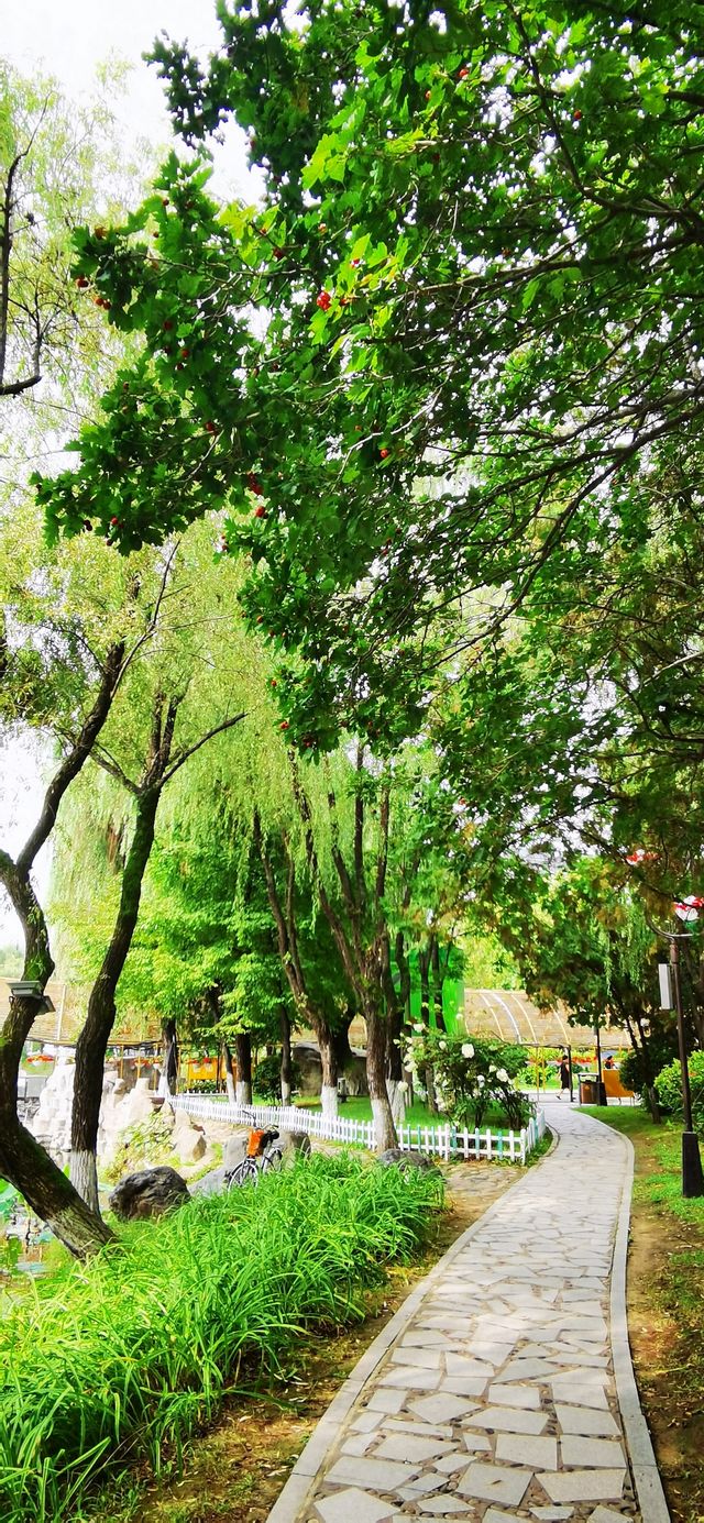 集安•蓮花公園