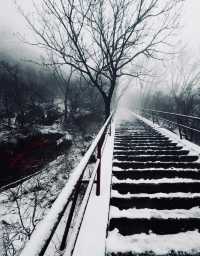 奔赴鄭州，只為一場「嵩山」之約