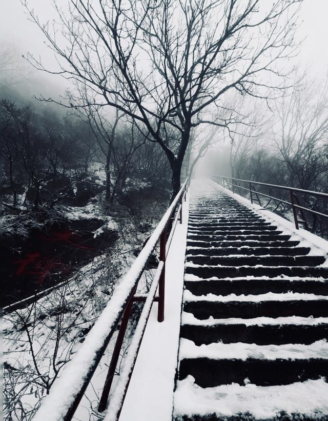 奔赴鄭州，只為一場「嵩山」之約