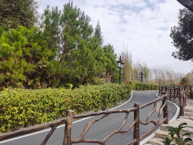 森林裏的溫泉,放鬆身心的療愈之旅——賀州西溪溫泉 森林裏的溫泉,放鬆身心的療愈之旅——賀州西溪溫泉
