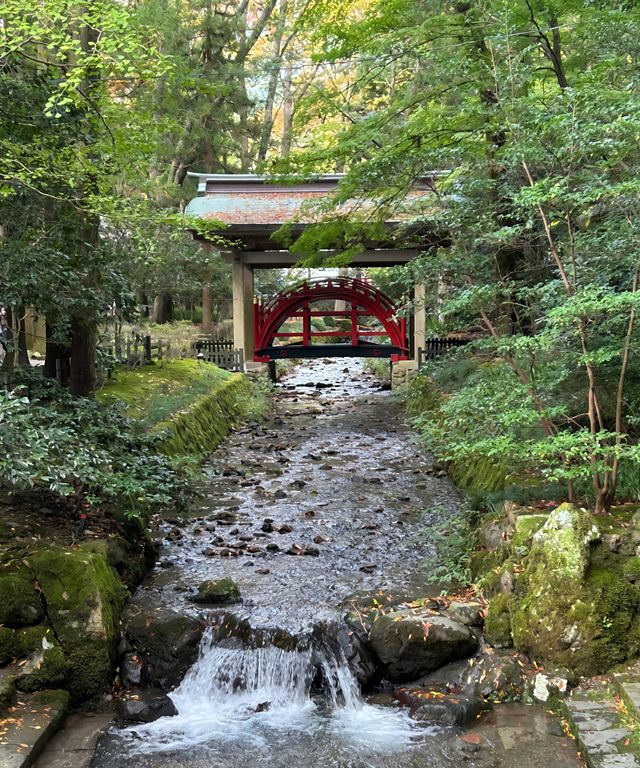 漫步新潟彌彦神社｜邂逅清新雅致的東瀛風情