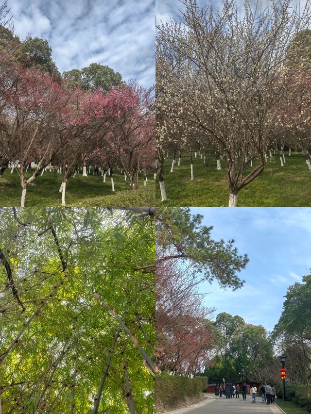 離開綿陽前一定要逛一趟這個寶藏公園