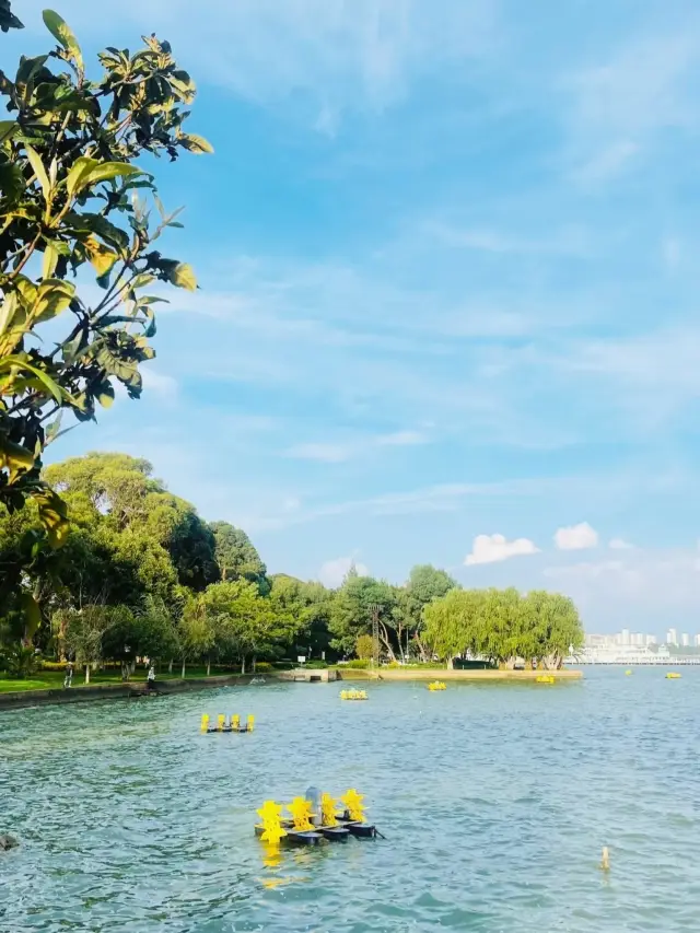 海埂公園：不止有滇池，還有治癒人心的四季