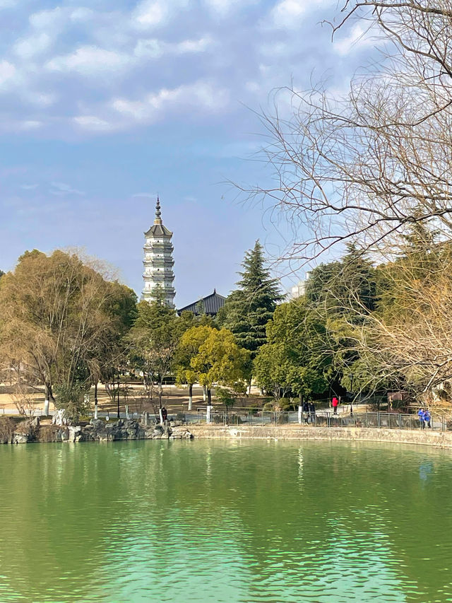合肥丨新徽園:一園縱覽江淮景韻 合肥丨新徽園:一園縱覽江淮景韻