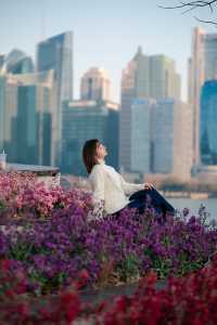 2.10實拍！北外灘的浪漫花海美哭啦