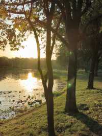 白雲湖公園最全遊玩攻略，帶娃、拍照必看！