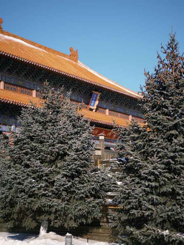 如果你剛好到長春，一定要拜訪萬壽寺。