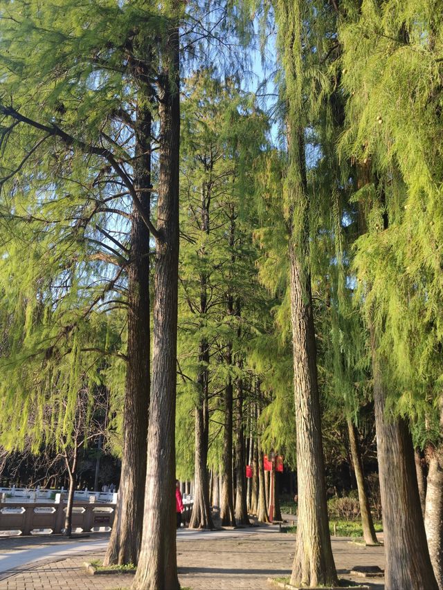 城市焦慮在這裡自動清零,你只需負責大口吸氧。 城市焦慮在這裡自動清零,你只需負責大口吸氧。