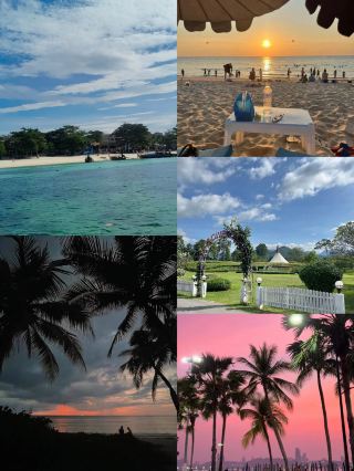 A Tropical Trip Full of Surprises