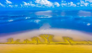 條子泥景區 一個被忽視的生態神景