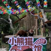 廣州動物園🐼帶娃必去❗️全攻略
